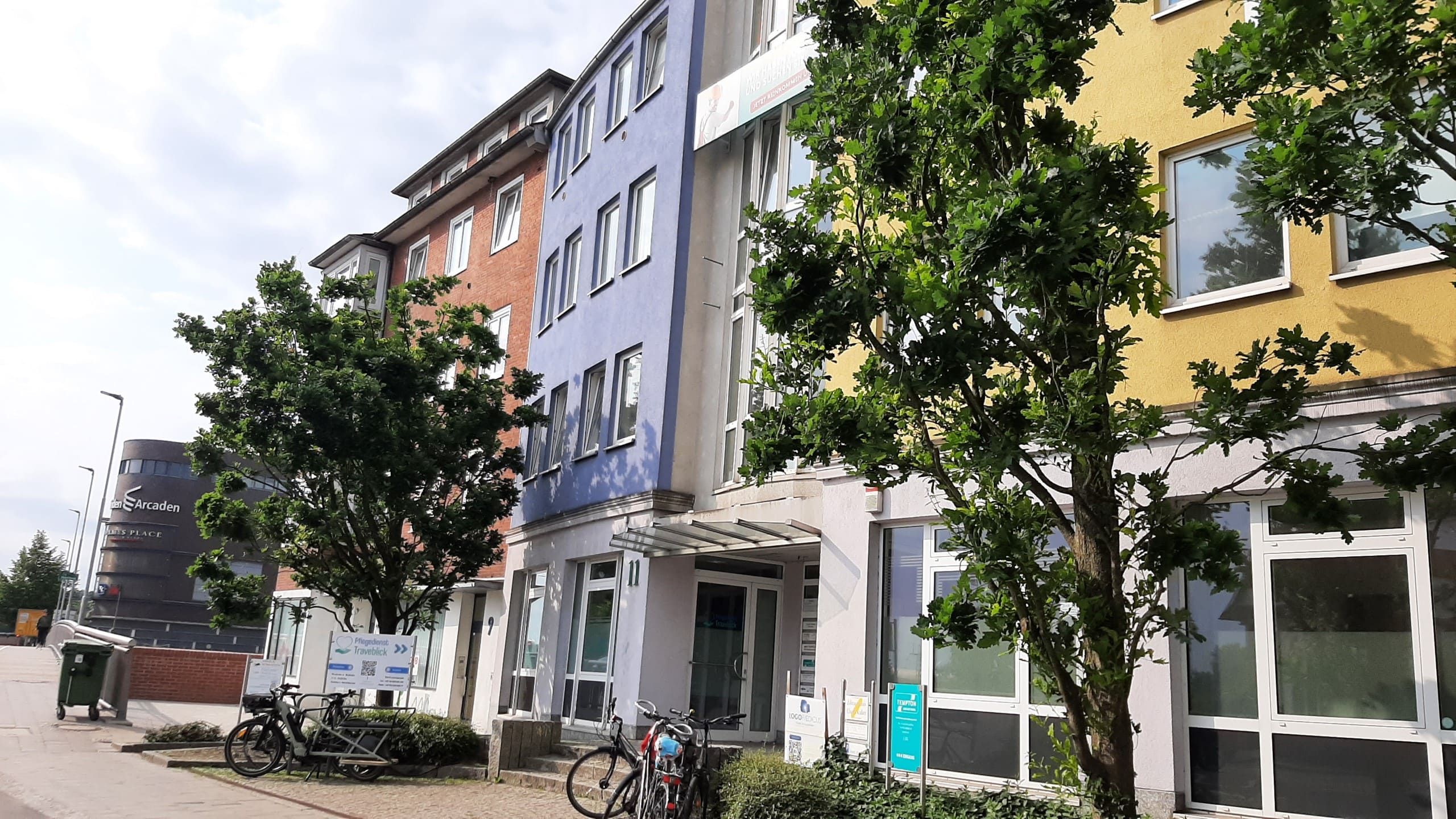 Baumpflege-Linden-Acarden